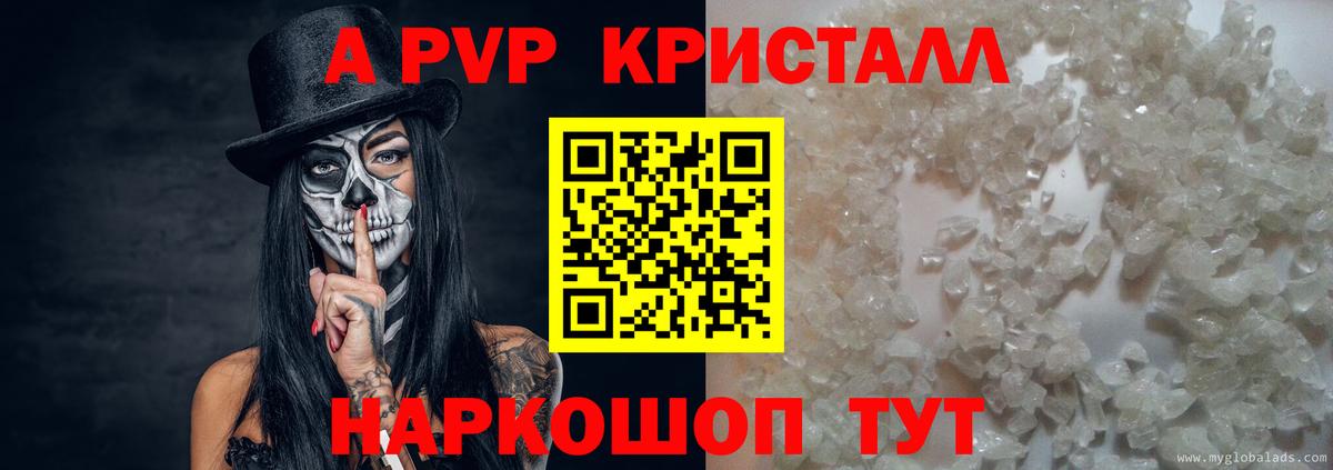 A PVP СК Сосновоборск