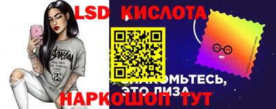 соль ск Новозыбков