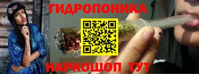 соль ск Новозыбков