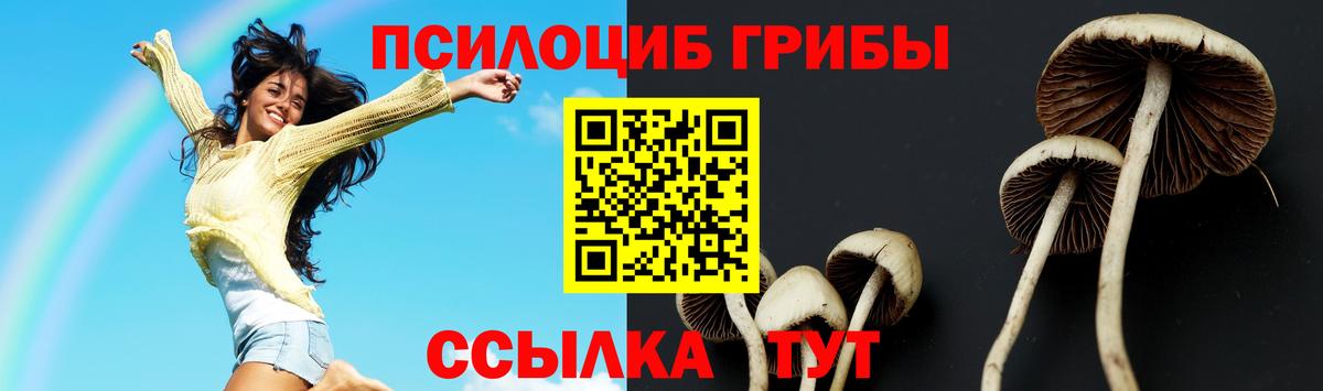 Галлюциногенные грибы прущие грибы  Вход с VPN  Сосновоборск 